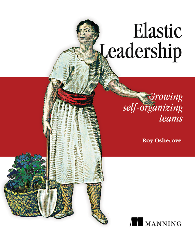 The cover of Elastic Leadership