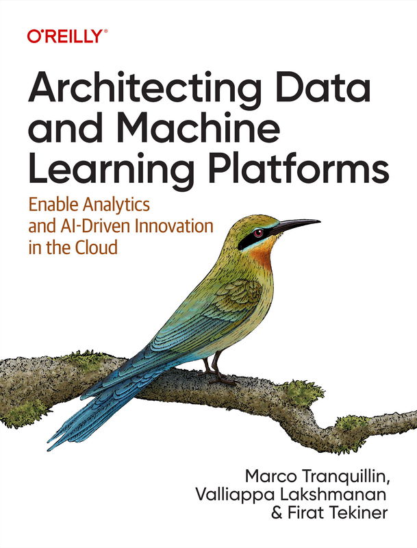 The cover of Architecting Data and Machine Learning Platforms