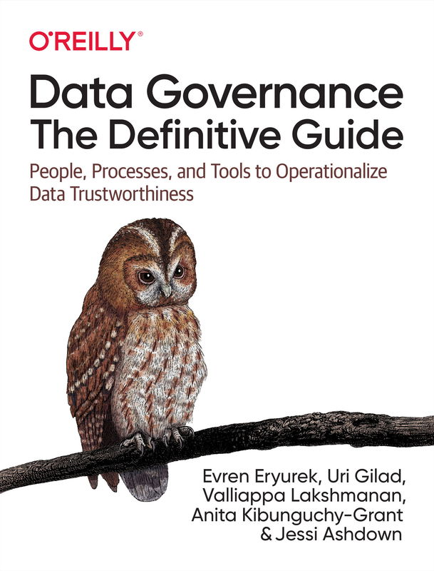 The cover of Data Governance: The Definitive Guide