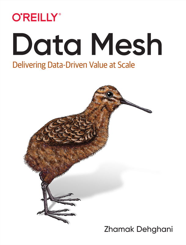 The cover of Data Mesh