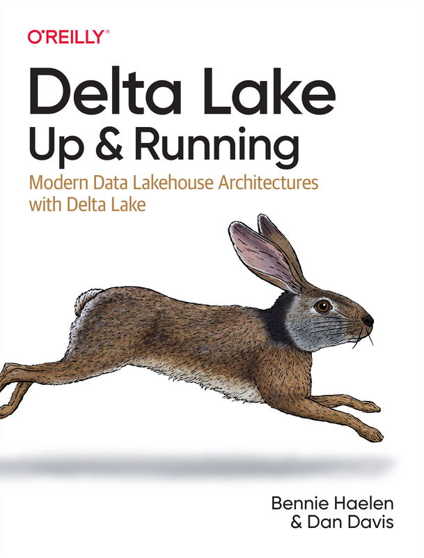 The cover of Delta Lake: Up and Running