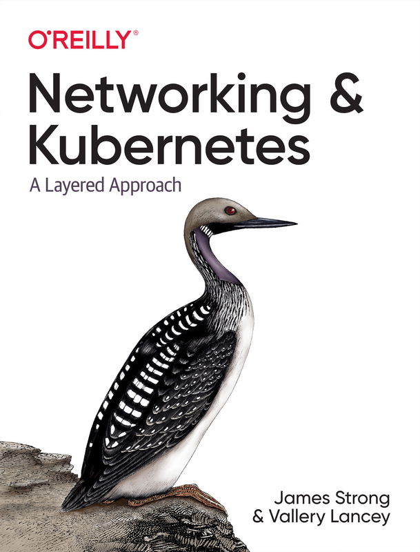 The cover of Networking and Kubernetes