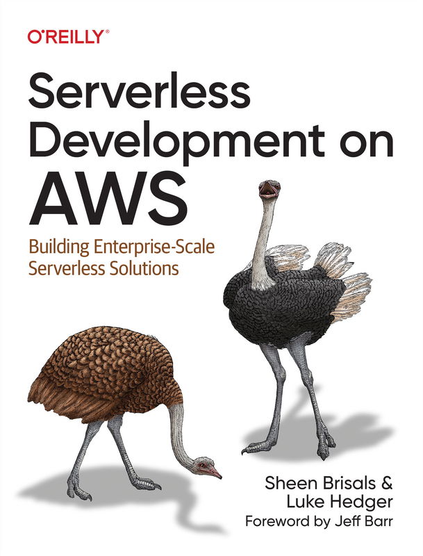 The cover of Serverless Development on AWS