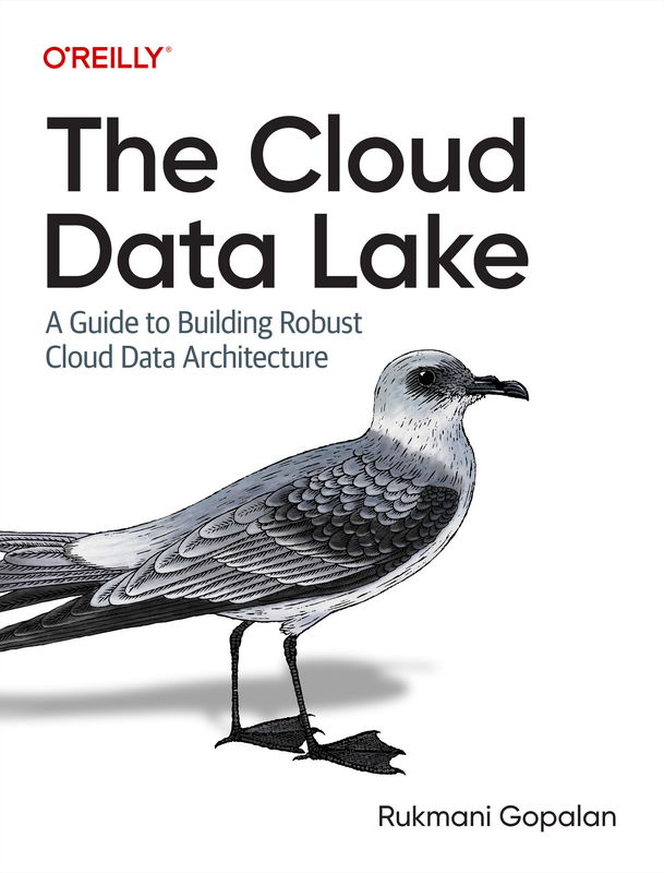 The cover of The Cloud Data Lake