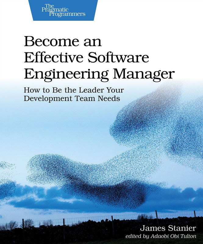 The cover of Become an Effective Software Engineering Manager